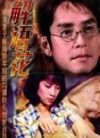 解语花 在线观看,穿越时空的浪漫传奇 第1张 解语花 在线观看,穿越时空的浪漫传奇 第1张