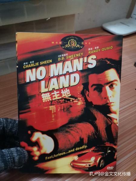 无主地在线观看,探索未知世界的冒险之旅  第1张