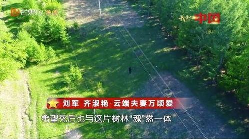 中国国情新闻爆料,揭秘中国国情下的热点新闻事件  第3张